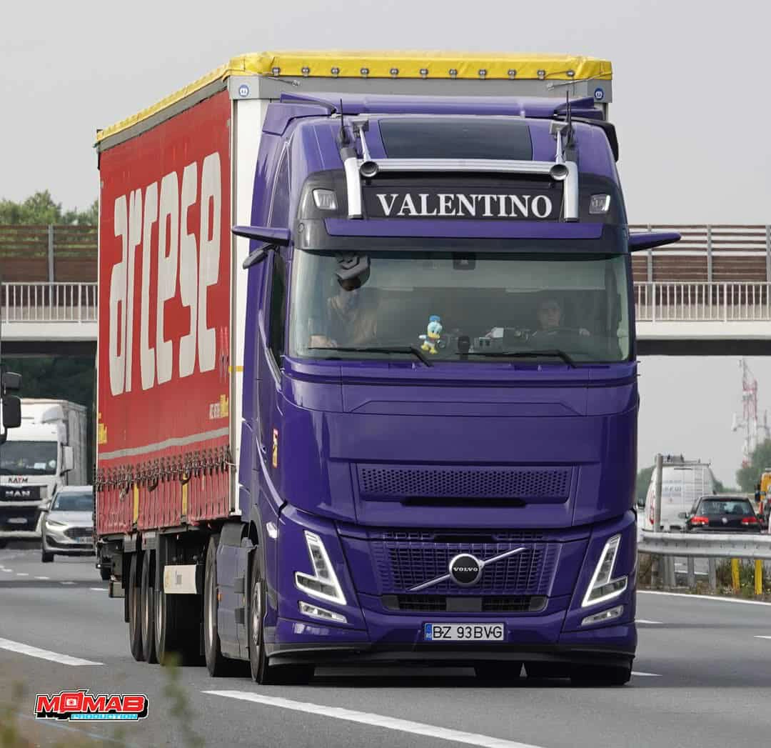 Transport internațional marfă generală